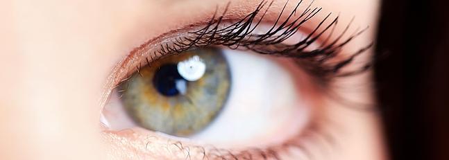 La evolucin de la esclerosis mltiple podr estudiarse a travs del ojo