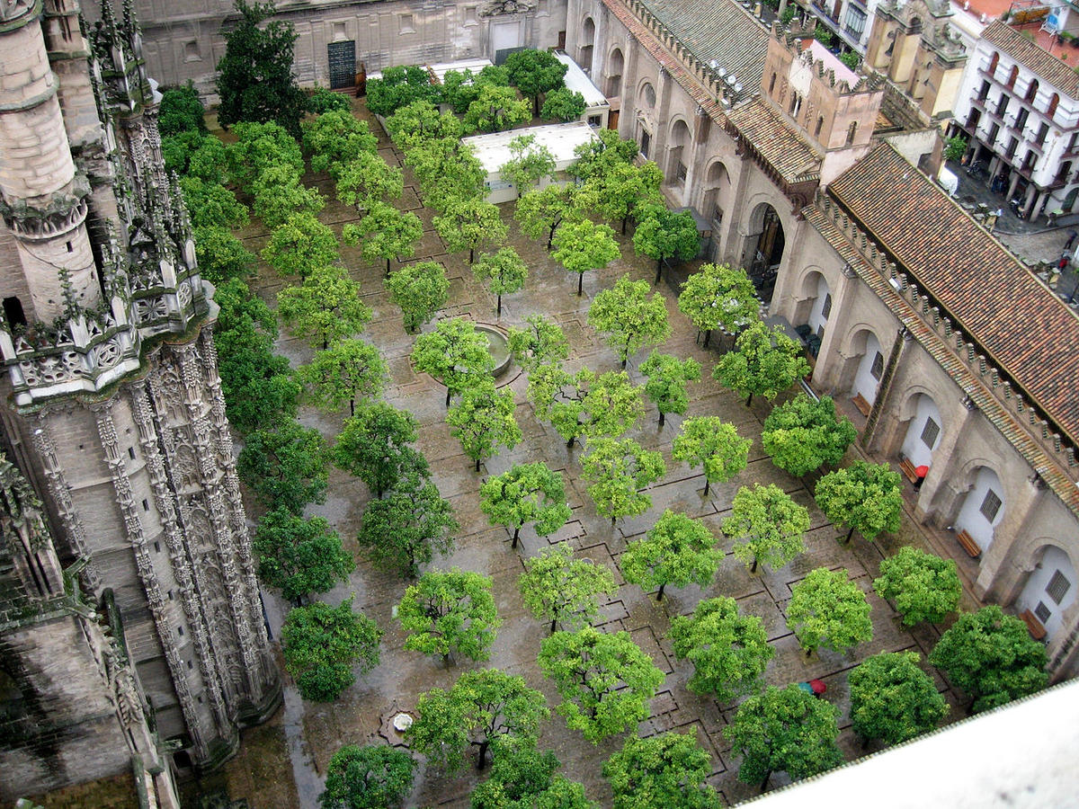 Patio de los naranjos de la Catedral de Sevilla