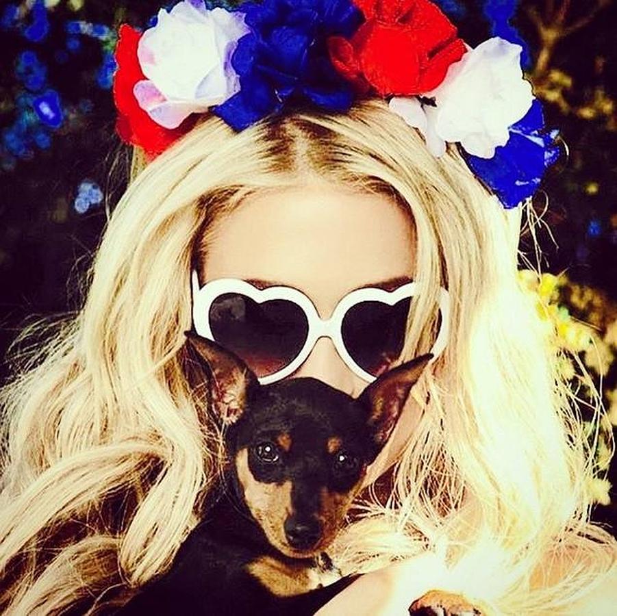 Paris Hilton decidió llevarse los colores estadounidenses al pelo en forma de corona de flores, posando con un look hippy junto a uno de sus chihuahuas