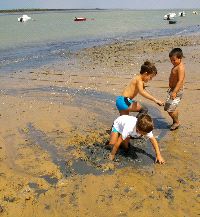 Ecologistas en Accin denuncia la existencia de arenas movedizas en la playa de Bonanza