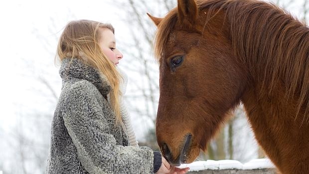 Los caballos pueden distinguir las emociones en los rostros humanos