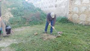 Arranca la exhumación en Cádiz de 15 víctimas de la Guerra Civil