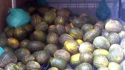 La Policía Local incauta 35 melones que se vendían de manera irregular desde una furgoneta