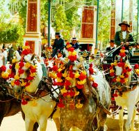 Vuelve la Feria del Caballo, una  cita anual con la tradicin y la fiesta